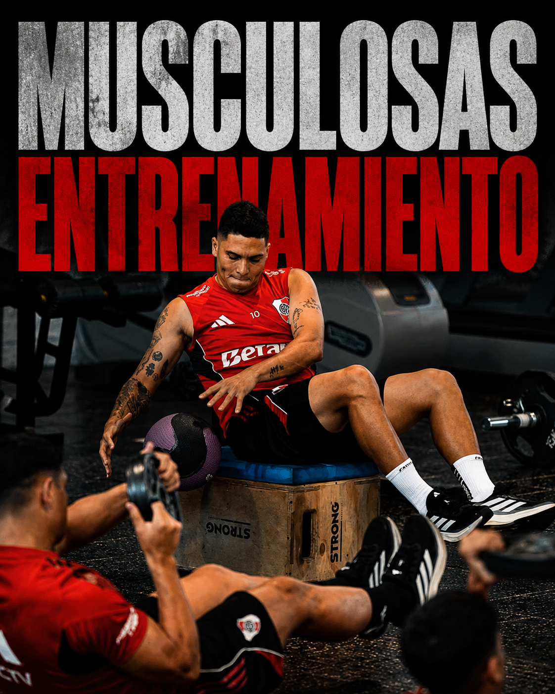 Musculosas